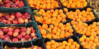 رفع ممنوعیت صادرات سیب و پرتقال + سند