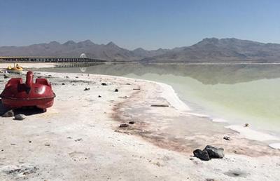 صمغی برای رفع شوری خاک‌های دور دریاچه ارومیه