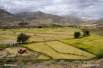 سرانه اراضی کشاورزی در آذربایجان شرقی یک هزار و 800 مترمربع است