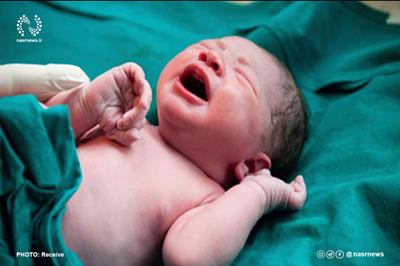  تولد نوزاد عجول تبریزی داخل آمبولانس اورژانس