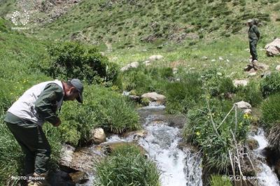 زیستگاه‌های سمندر در آذربایجان‌غربی ارتقا می‌یابد