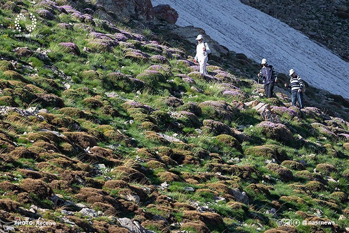 تصاویر| صعود تابستانی به قله بوز سینه 