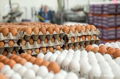 تخم‌مرغ ۱۵ تا ۲۰ درصد ارزانتر از نرخ مصوب