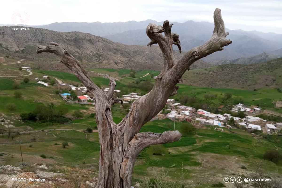 تصاویر | طبیعت زیبای روستای نوجده سفلی کلیبر