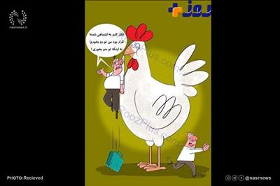 نمک بر زخم مردم: کمبود مرغ و کرامات شیخ ما!