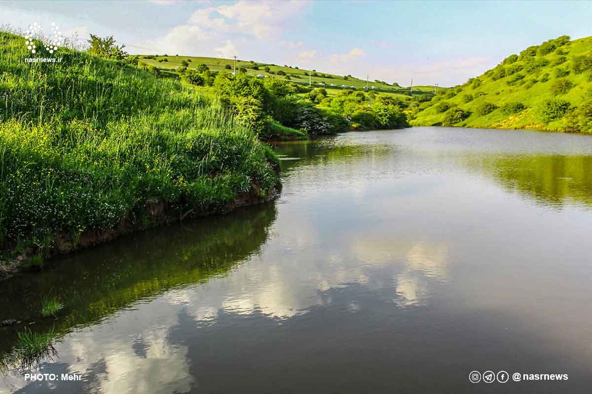 تصاویر | رخ نمایی بابونه های فندقلو در واپسین روزهای اردیبهشت