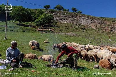 آغاز کوچ ییلاقی عشایر آذربایجان شرقی و غربی به مراتع سهند مراغه