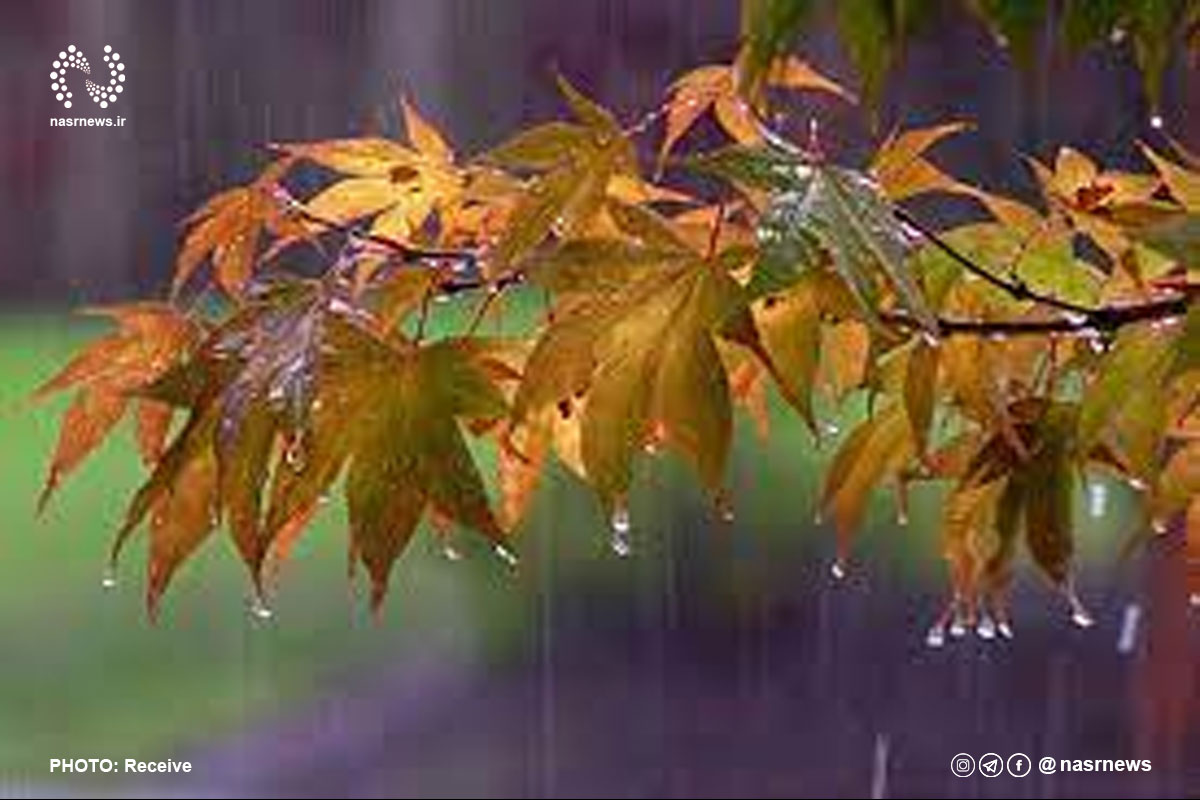 بارش پاییزه