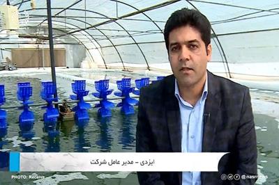 شرکت ایرانی انحصار تولید جلبک «اسپیرولینا» را شکست