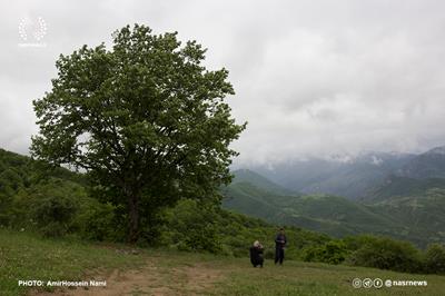 الزام تورهای طبیعت‌ گردی به بهره‌ گیری از راهنمایان دارای مجوز