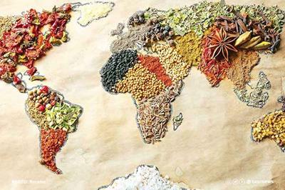  امنیت غذایی در ایران بیشتر از ۱۱۹ کشور جهان 