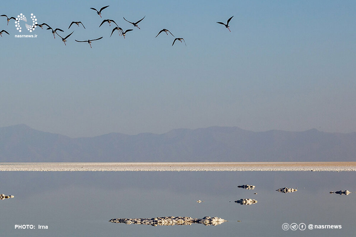 فیلم | بازگشت امیدها به دریاچه ارومیه