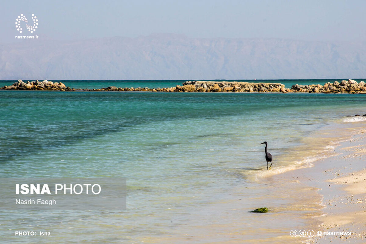 تصاویر | خلیج‌ فارس از قاب جزیره کیش