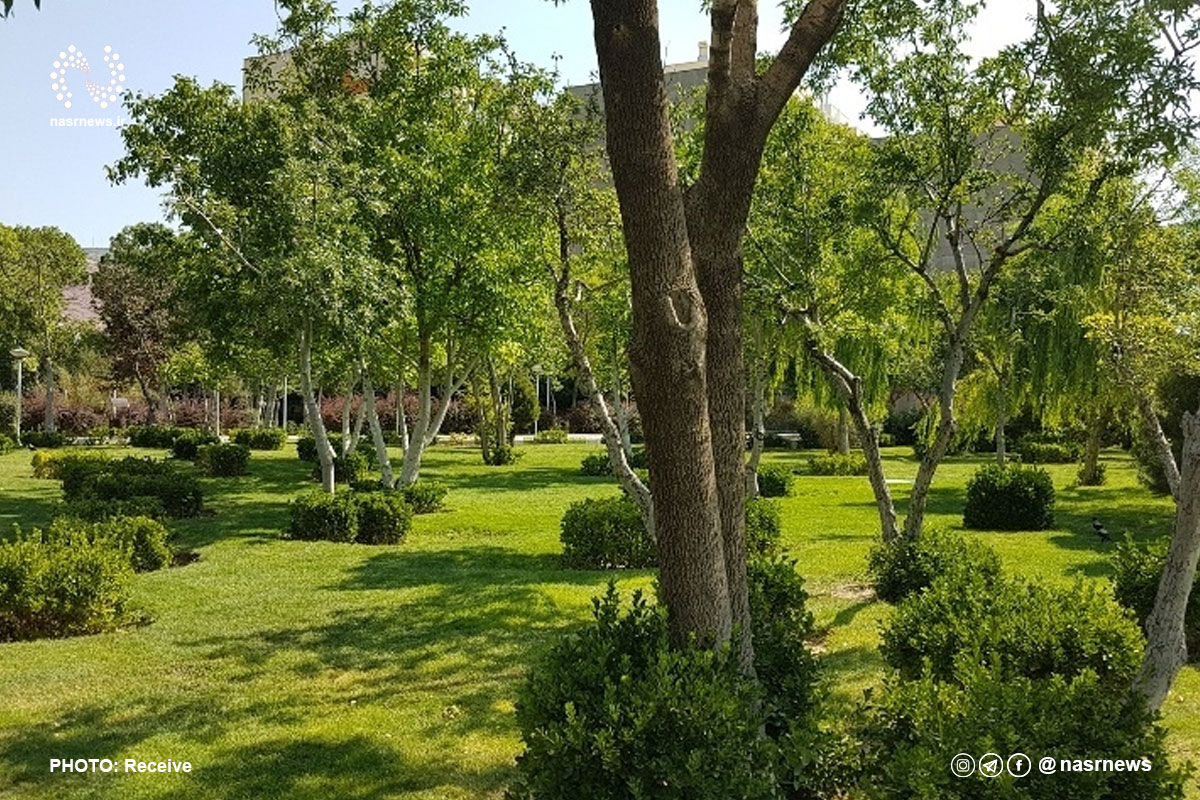 پارک شمس تبریزی