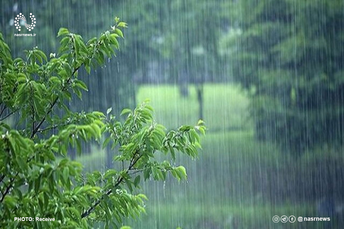 بارش باران، رگبار