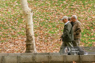 افزایش ۱۵ درصدی جمعیت سالمندان تا سال ۱۴۲۰/ شهر دوستدار سالمند چه ویژگی‌هایی دارد؟