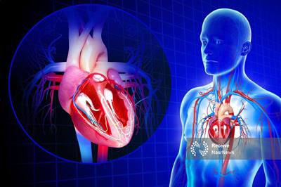 کشف راهی برای کمک به خودترمیمی قلب