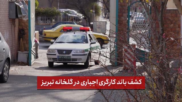 فیلم | کشف باند کارگری اجباری در گلخانه تبریز؛ ۷ نوجوان افغان دستگیر شدند