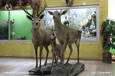 موزه تنوع زیستی میزبان خانواده های کوه نوردان در هفته زمین پاک