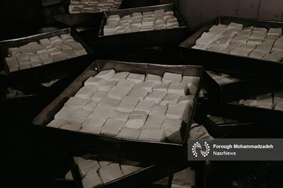 توسعه پنیر لیقوان تبریز با تکمیل زنجیره ارزش و صادرات