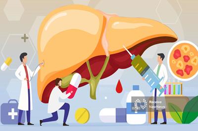 ابتلای ۴۵ درصد مردم کشور به کبد چرب/اصلاح سبک زندگی تنها راه درمان