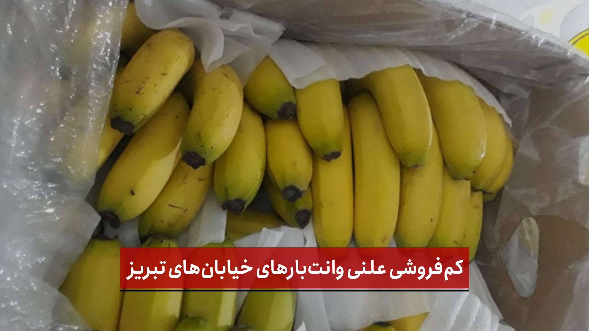 فیلم | کم‌فروشی علنی وانت‌بارهای خیابان‌های تبریز؛ ترازوهای دستکاری شده، خریداران را فریب می‌دهد