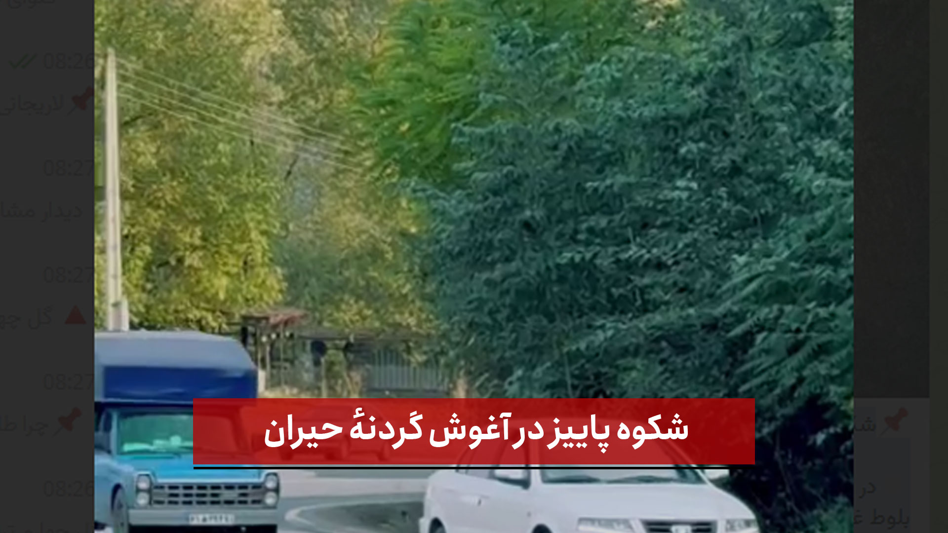 فیلم | شکوه پاییز در آغوش گردنهٔ حیران