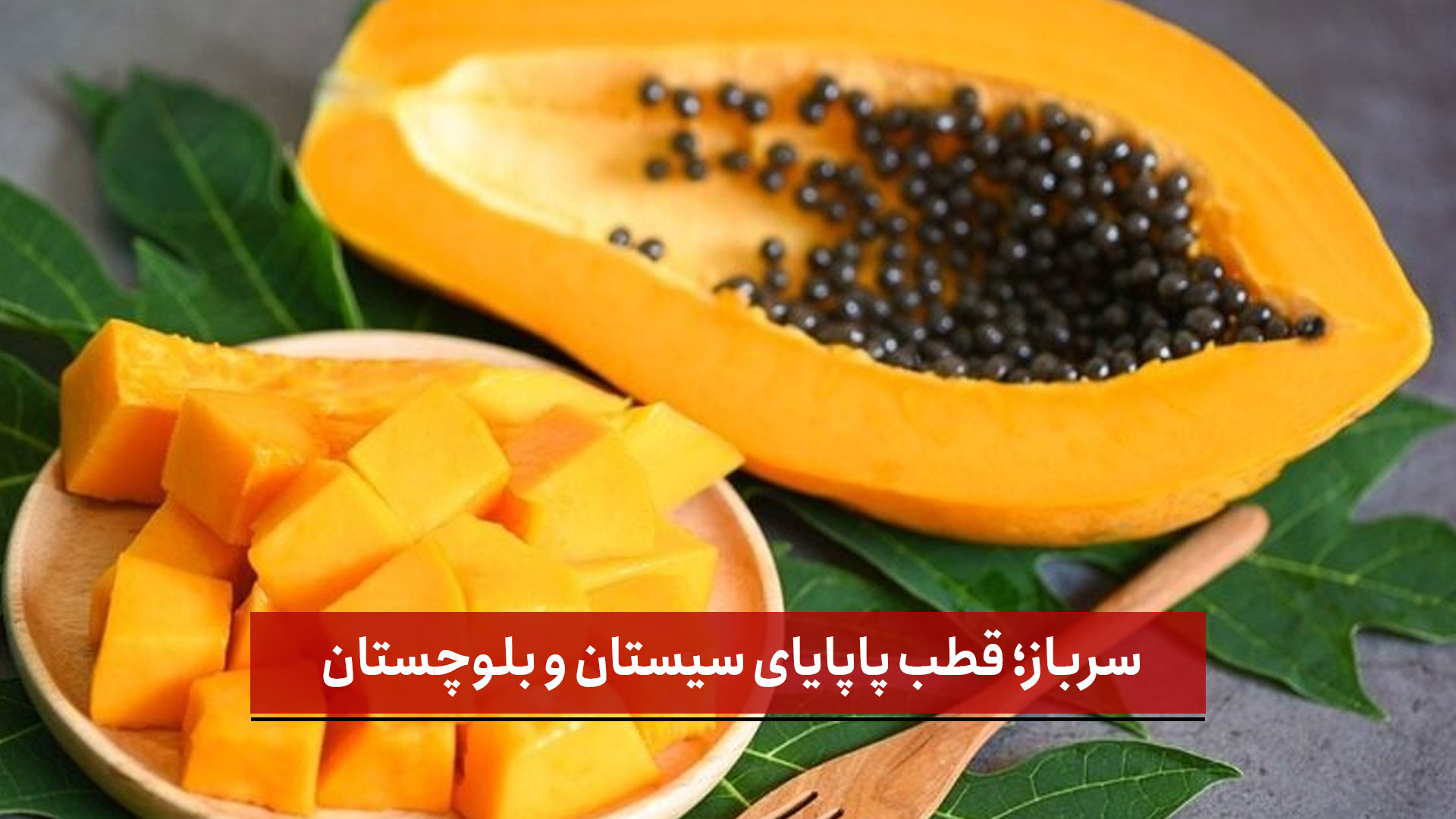 فیلم | سرباز؛ قطب پاپایای سیستان و بلوچستان