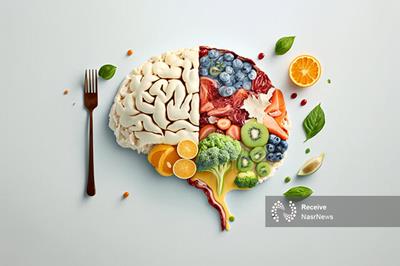این غذاها را بخورید تمرکزتان بالا می رود و مغزتان بهتر کار می کند