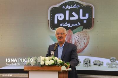 جشنواره بادام خسروشاه، دستاورد مدیریت جدید و نماد کار جمعی در این شهر است