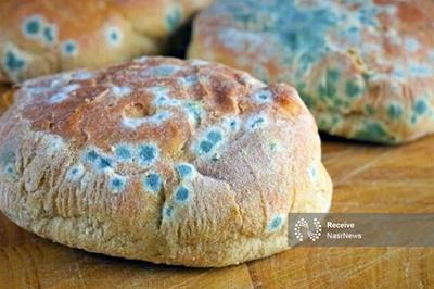 قوی‌ترین سموم بیماری‌زا در مواد غذایی فاسد و کپک‌زده