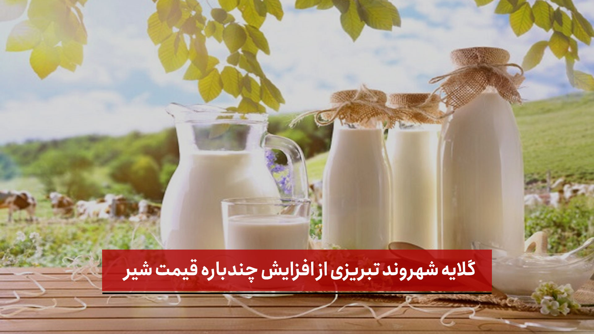 فیلم | گلایه شهروند تبریزی از افزایش چندباره قیمت شیر / مردم: چرا فکری به هزینه‌های ما نمی‌شود؟