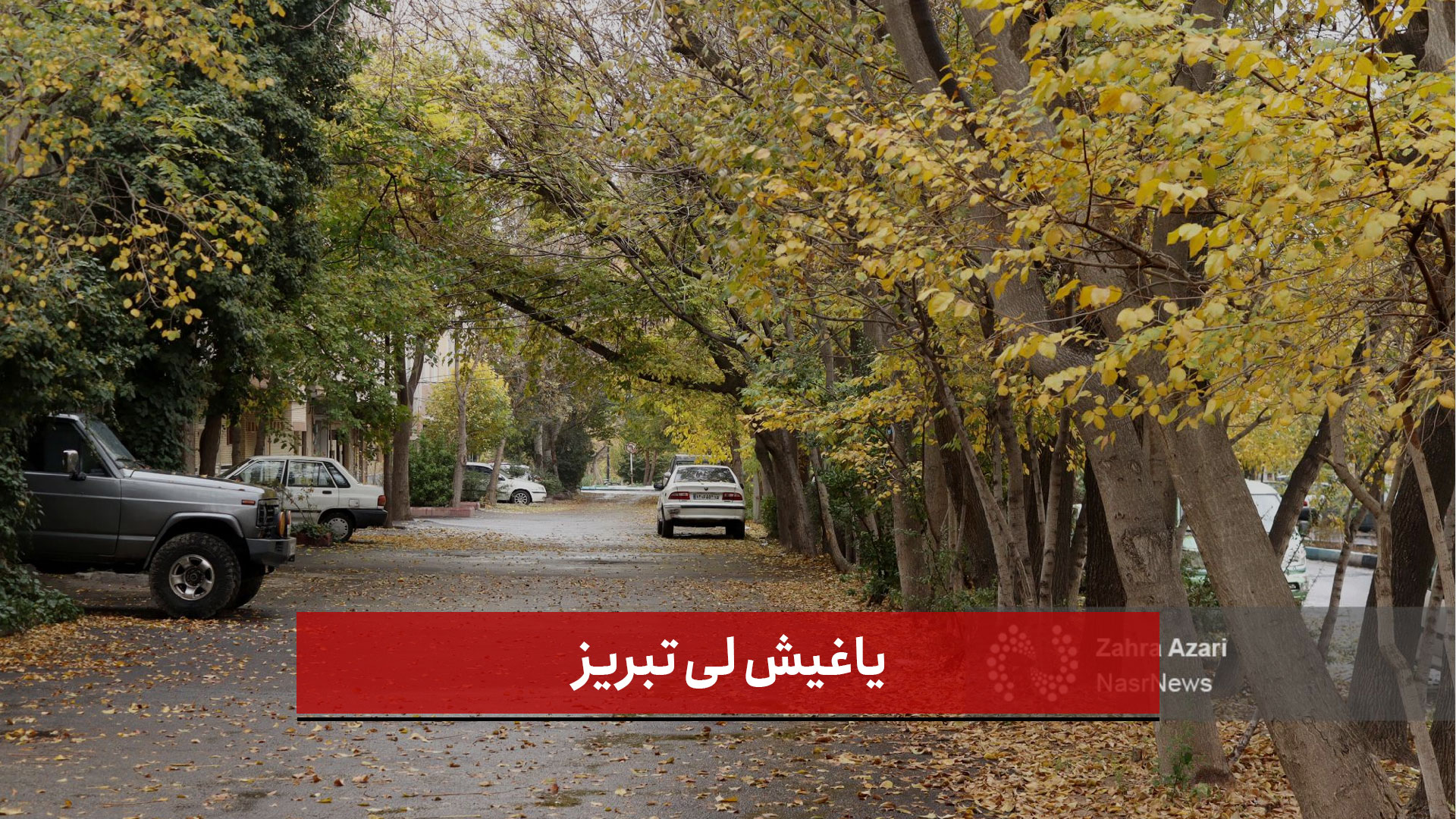 فیلم | یاغیش لی تبریز