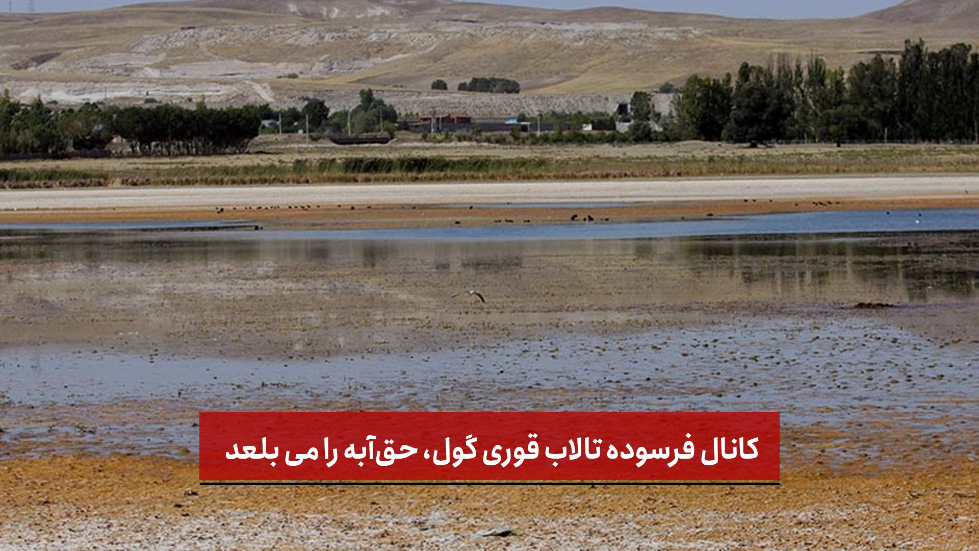 فیلم | کانال فرسوده تالاب قوری گول، حق‌آبه را می بلعد
