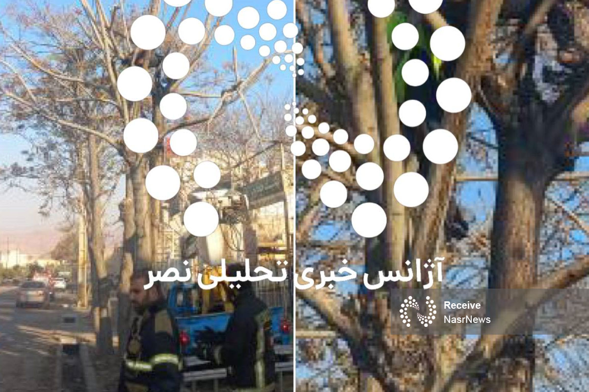  جمعه سیاه تبریز | حادثه مرگبار هرس