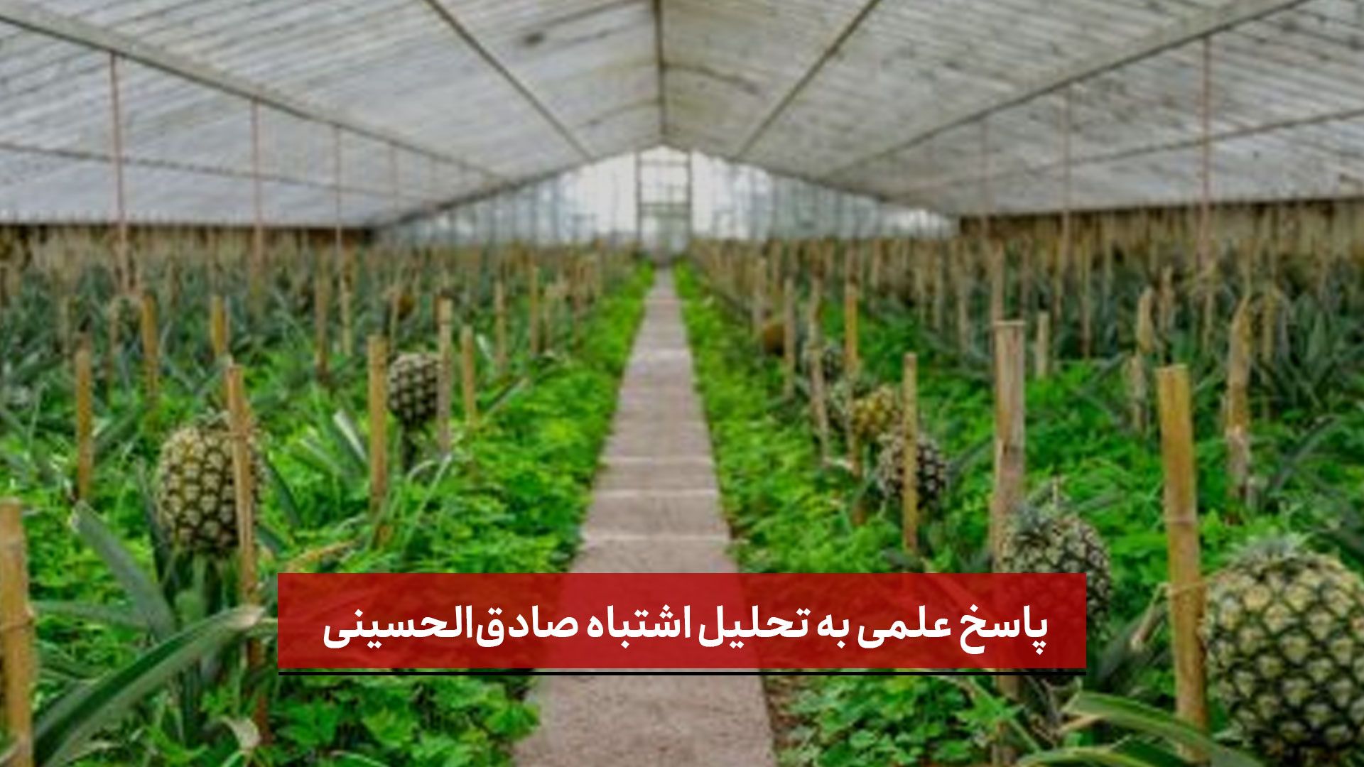 فیلم | پاسخ علمی به تحلیل اشتباه صادق‌الحسینی