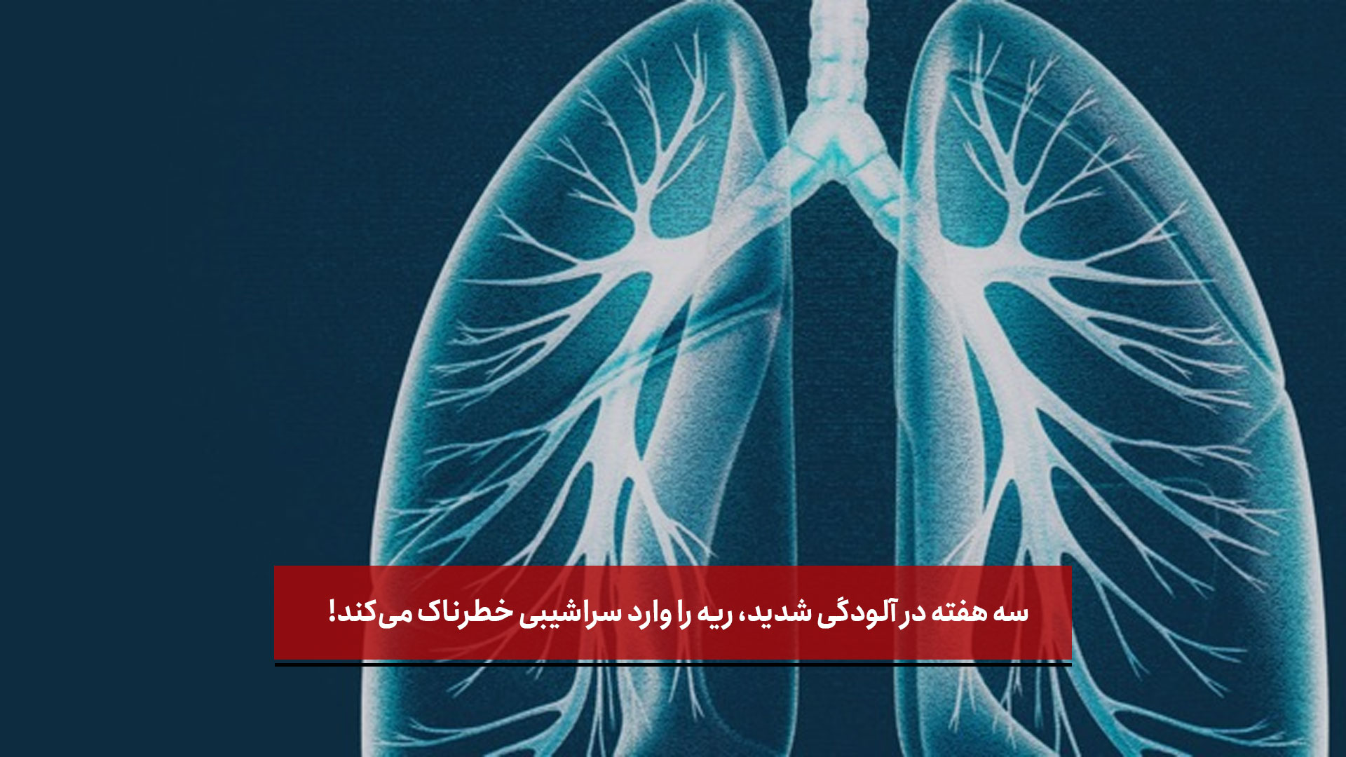 فیلم | هشدار تکان‌دهنده متخصص ریه: سه هفته در آلودگی شدید، ریه را وارد سراشیبی خطرناک می‌کند!