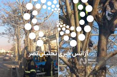  جمعه سیاه تبریز | حادثه مرگبار هرس