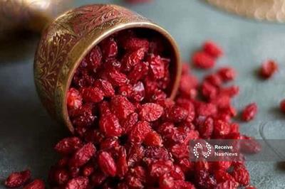 زرشک ایرانی به سفره کدام کشورها می‌رود؟