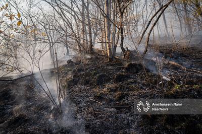 حریق در جنگل های گلستان و آذربایجان شرقی/ عملیات اطفا ادامه دارد