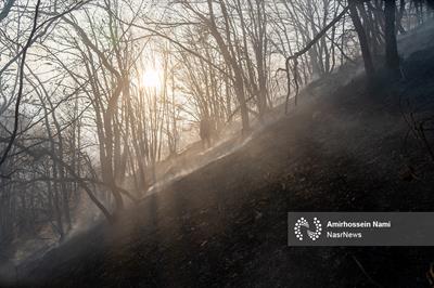 سوختن مجدد برگ‌های پاییزی، شائبه آتش‌ سوزی دوباره جنگل دیزمار را ایجاد کرده است