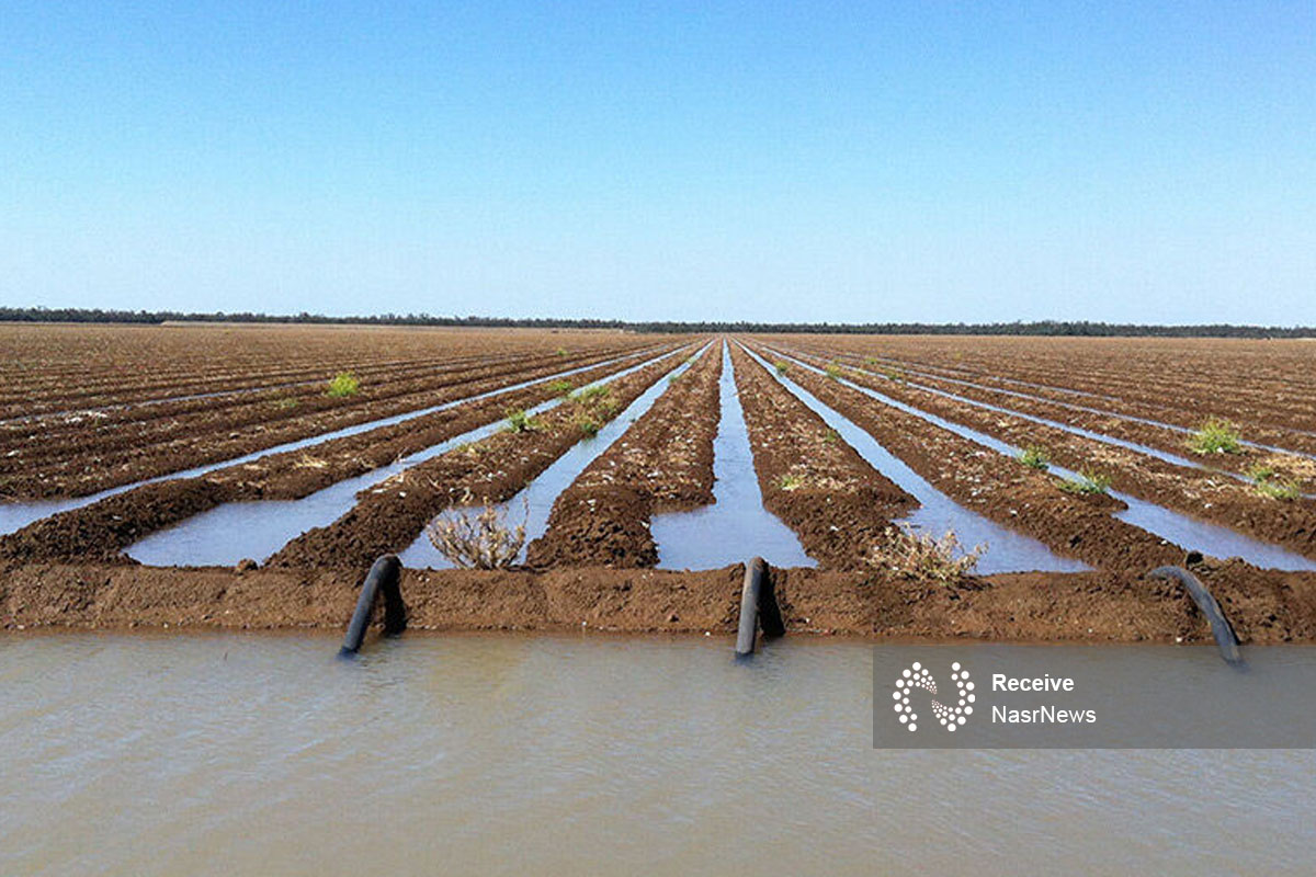 کشاورزی سنتی؛ بلای جان دریاچه ارومیه