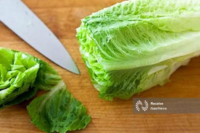 بالاخره چه قسمتی از کاهو نیترات بیشتری دارد؟/ این سبزی مشهورترین خواب‌آور طبیعی است