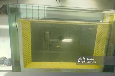 نصب سامانه بیومانیتورینگ گامی مهم در ارتقای پدافند غیر عامل و صیانت از سلامت آب