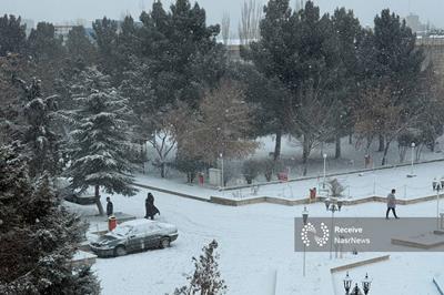 برف تبریز را در آغوش گرفت