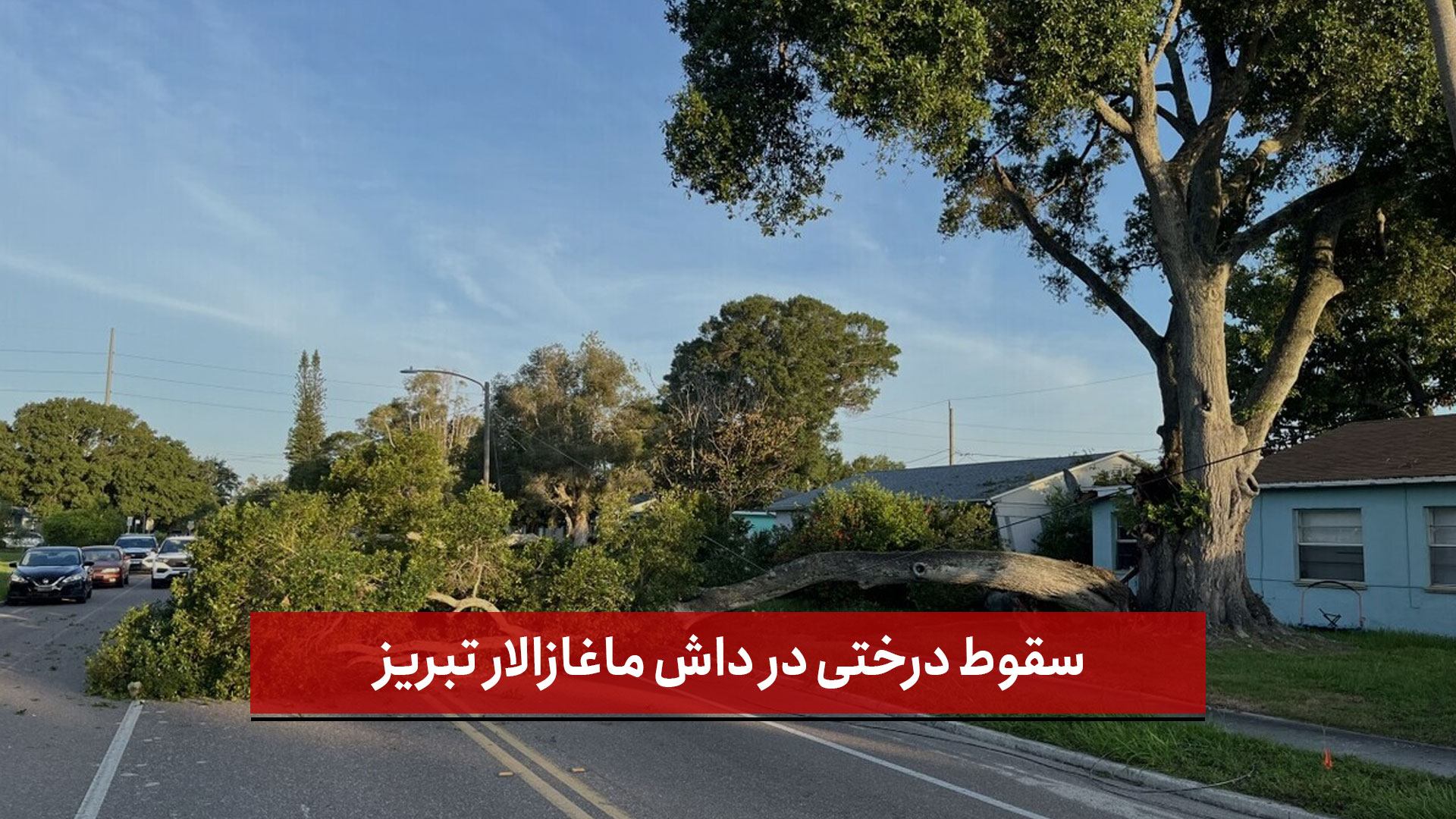فیلم | سقوط درختی در داش ماغازالار تبریز