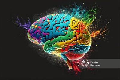 رنگ لباس چه تأثیری روی رفتار ما دارد؟/ افزایش ۲۰ درصدی اعتمادبه‌نفس با این رنگ‌ها
