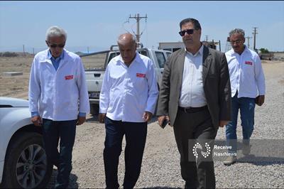 هم‌ افزایی صنعت و ریل؛ پروژه خط فرعی ریلی شبستر وارد فاز جدی شد