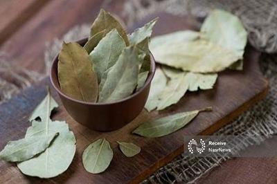 برگ بو این همه خاصیت دارد!