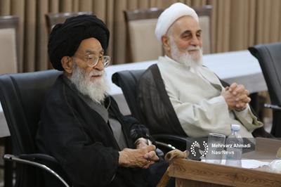 تصاویر | دیدار ناطق‌نوری با آیت‌الله آل هاشم
